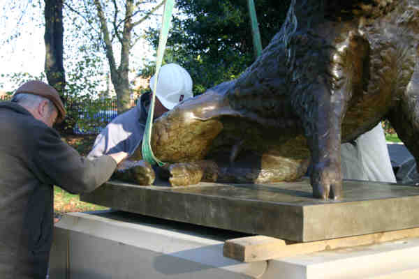 Alex Paxton guiding the boar into position on its plinth