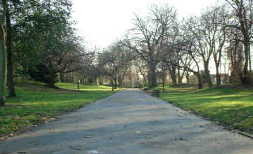 Before and after tree felling at Grove Street end of the Fountain Walk